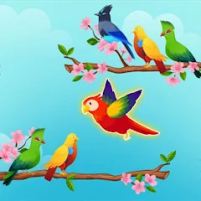 bird sort puzzle color game scaled