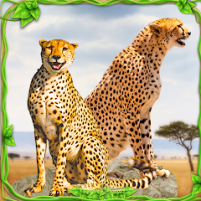 cheetah simulator cheetah game scaled