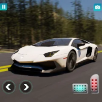 car race simulator speed games scaled