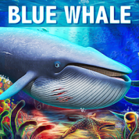 blue whale simulator game scaled