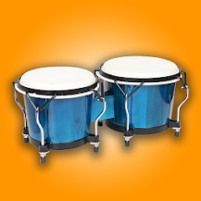 congas bongos percussion scaled
