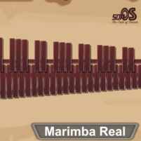 marimba xylophone vibraphone