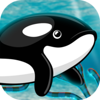 orca fish home adventure