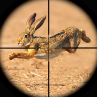 rabbit game sniper shooting scaled