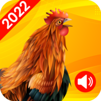 animal ringtones birds sound