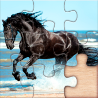 horses puzzle game