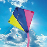 kite flyng 3d scaled