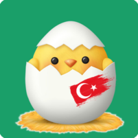 learn turkish vocabulary kid