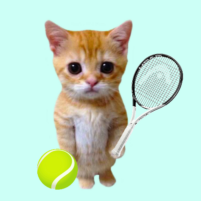 cat tennis champion