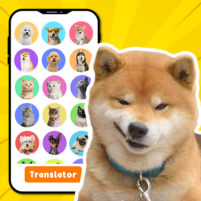 dog translator pet jokes