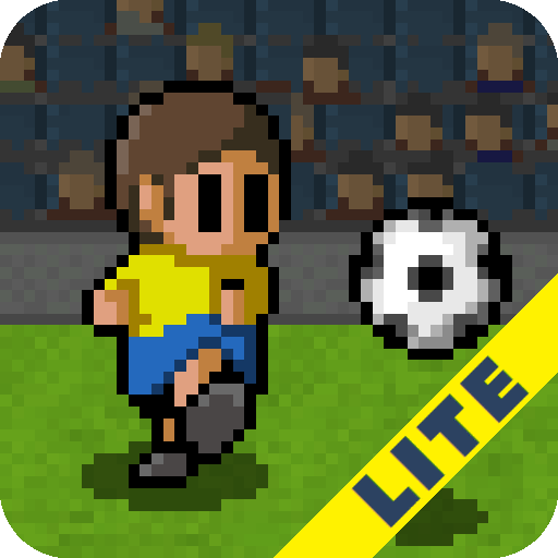 portable soccer dx lite