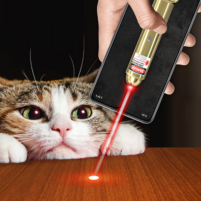 like laser for your cat