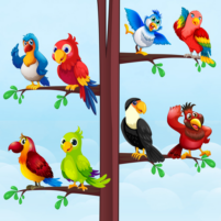 bird sort color puzzle games scaled