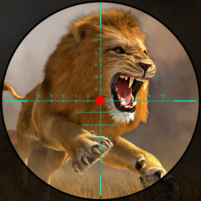 wild lion hunt archery hunter