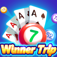 winner trip bingo solitaire