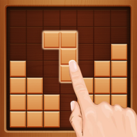 wood block puzzle brain game