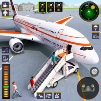 real airplane flight sim 3d scaled
